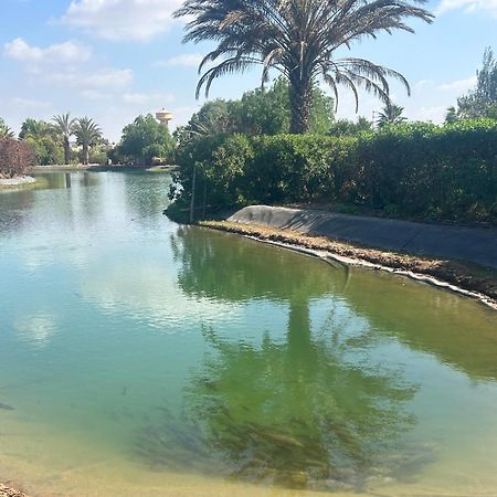 Villa Louisa Piscine Privee Sans Vis A Vis Dyar Shemsi Ταρουντάντ Εξωτερικό φωτογραφία