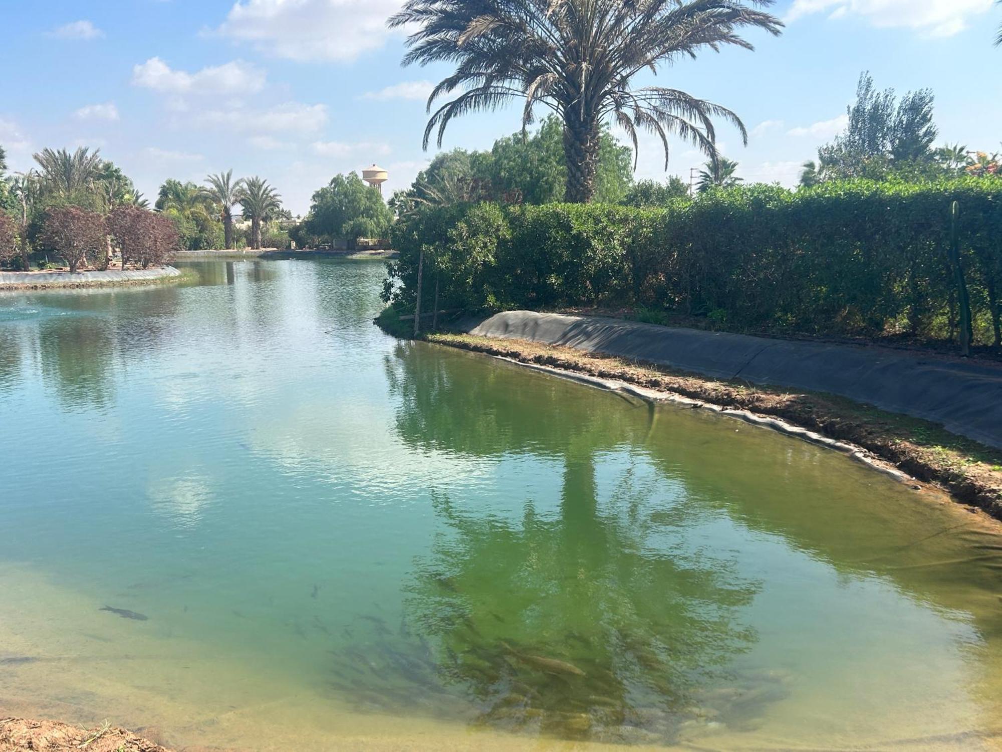 Villa Louisa Piscine Privee Sans Vis A Vis Dyar Shemsi Ταρουντάντ Εξωτερικό φωτογραφία